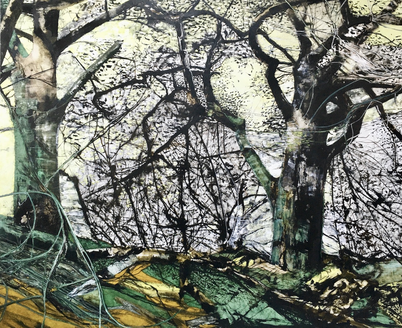‘Trees Contre Jour’ - Oil on Canvas 137x167cm, 2021